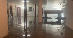 Image depicts a basement floor in a Milton home from our basement clear epoxy Milton project