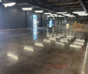 belleville polished floors concrete