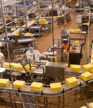 epoxy flooring for food processing plants epoxy flooring for food processing plants